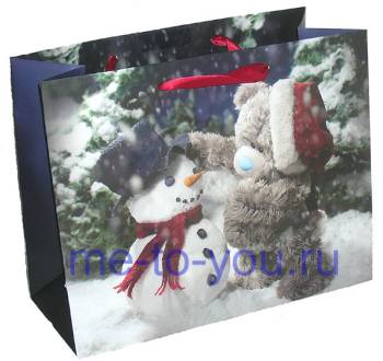 Пакет подарочный Me to you "Мишка со снеговиком", фотофиниш, средний,  21х27см.